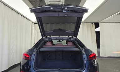 X6 (G06)