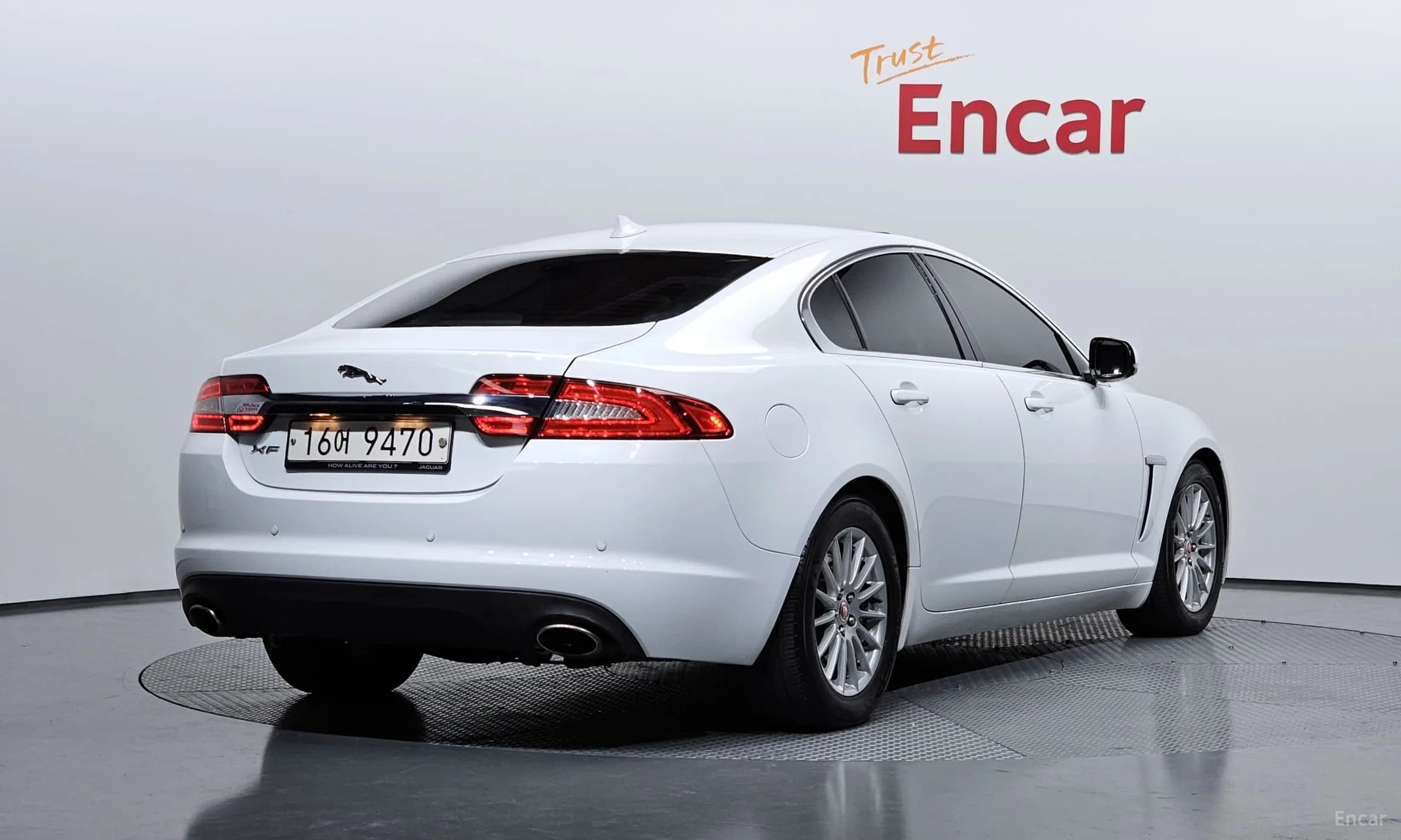 New XF