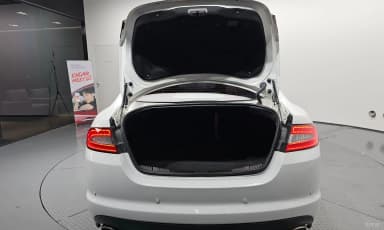 New XF