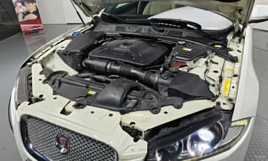 New XF