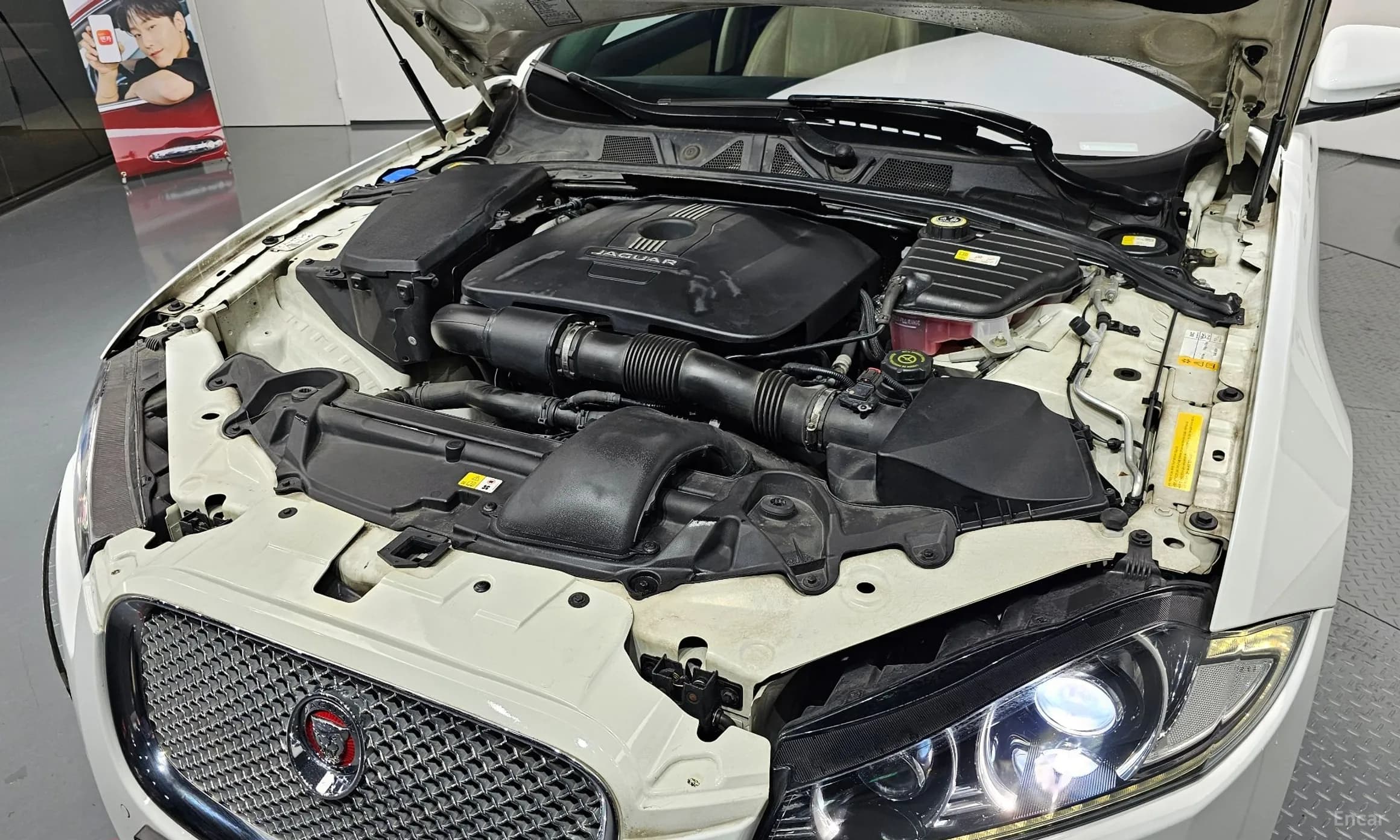 New XF