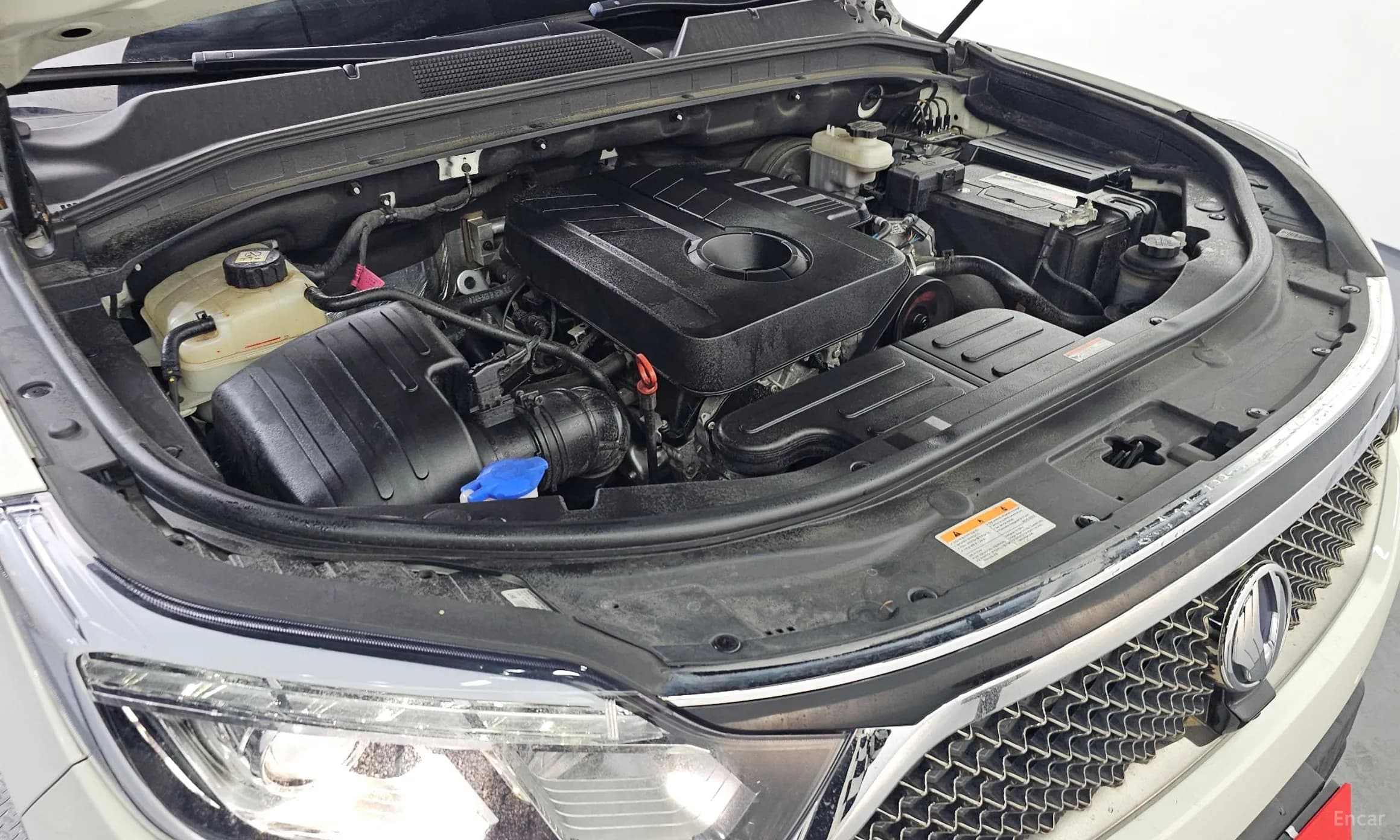 G4 Rexton