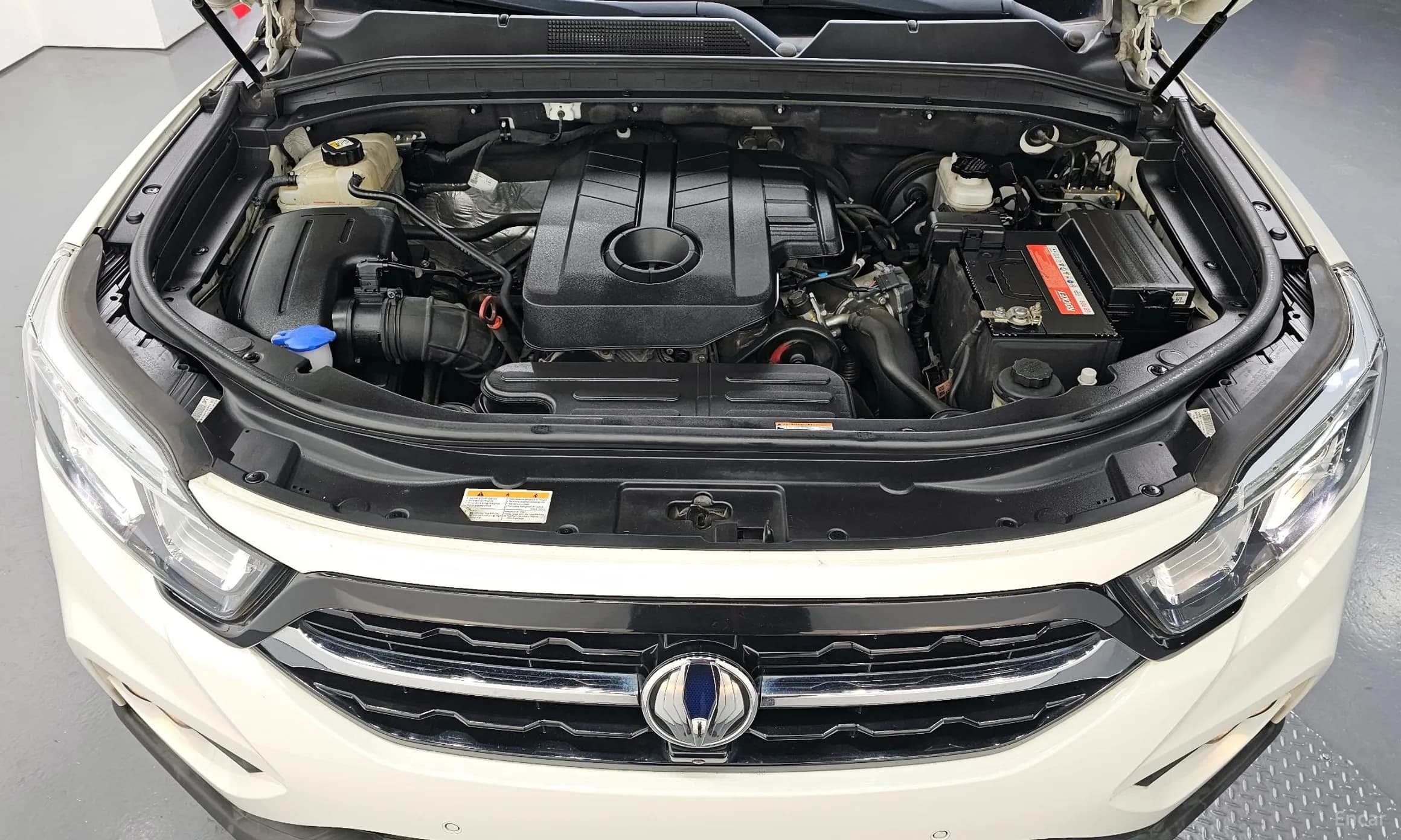 Rexton Sports