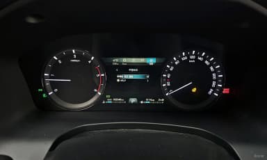 Rexton Sports