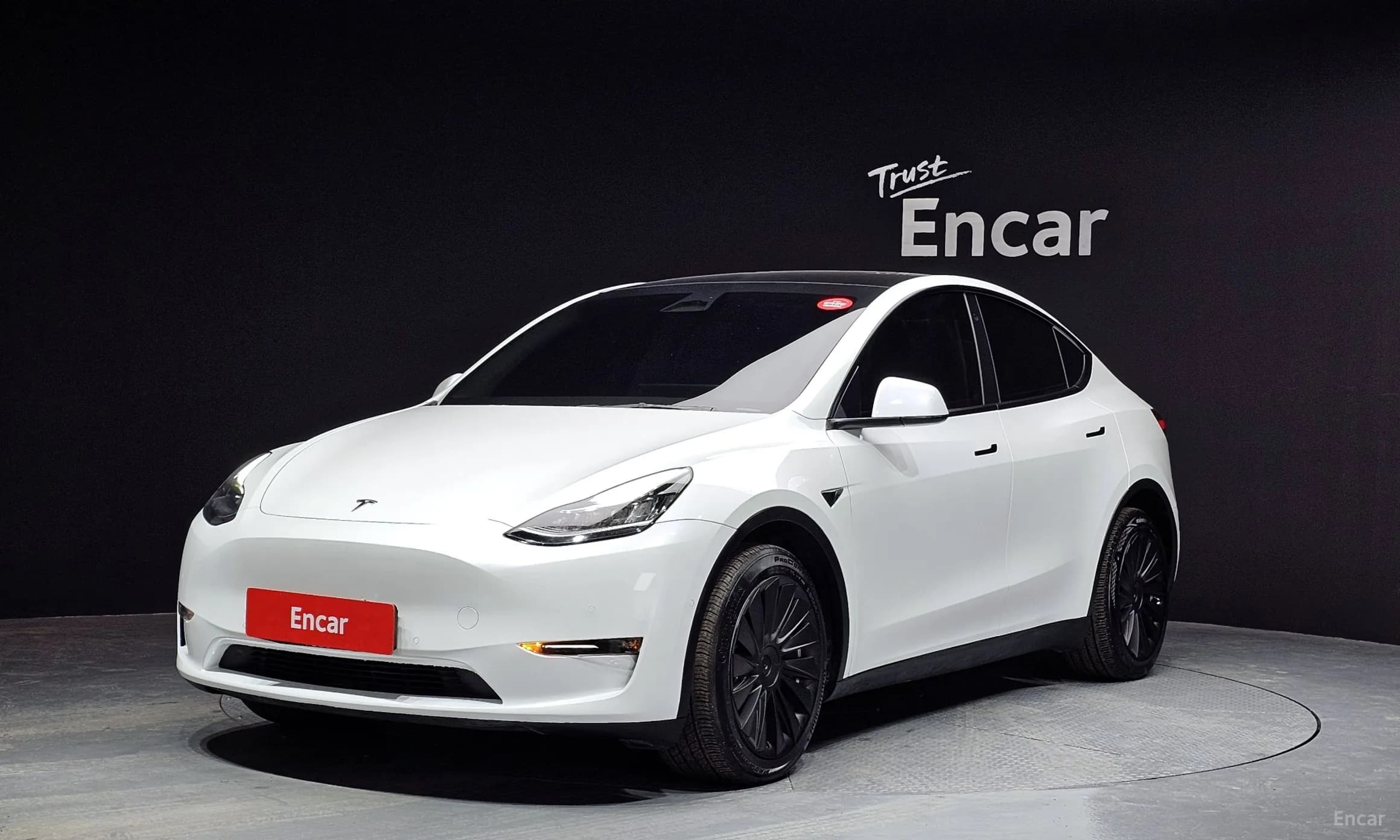 Model Y