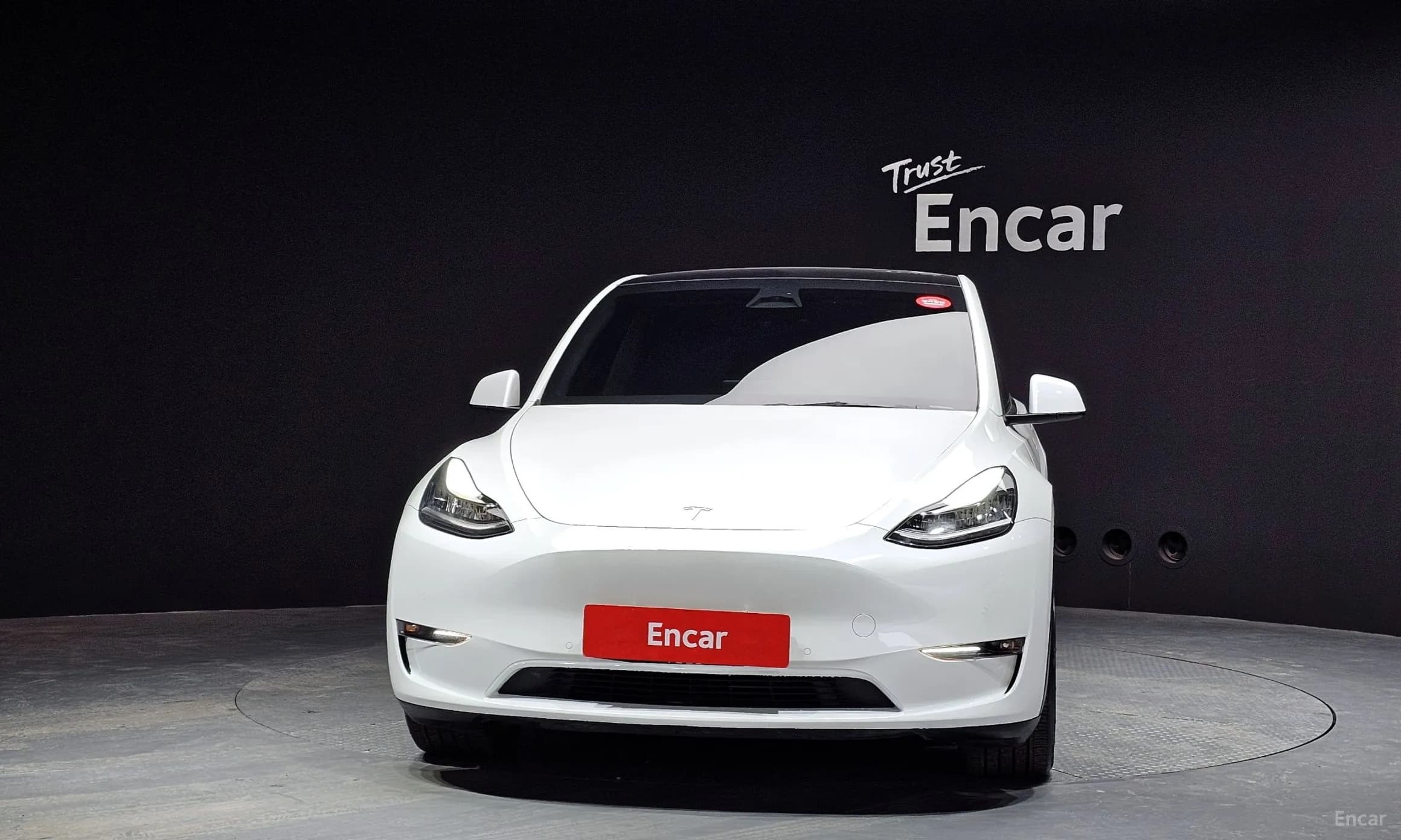 Model Y