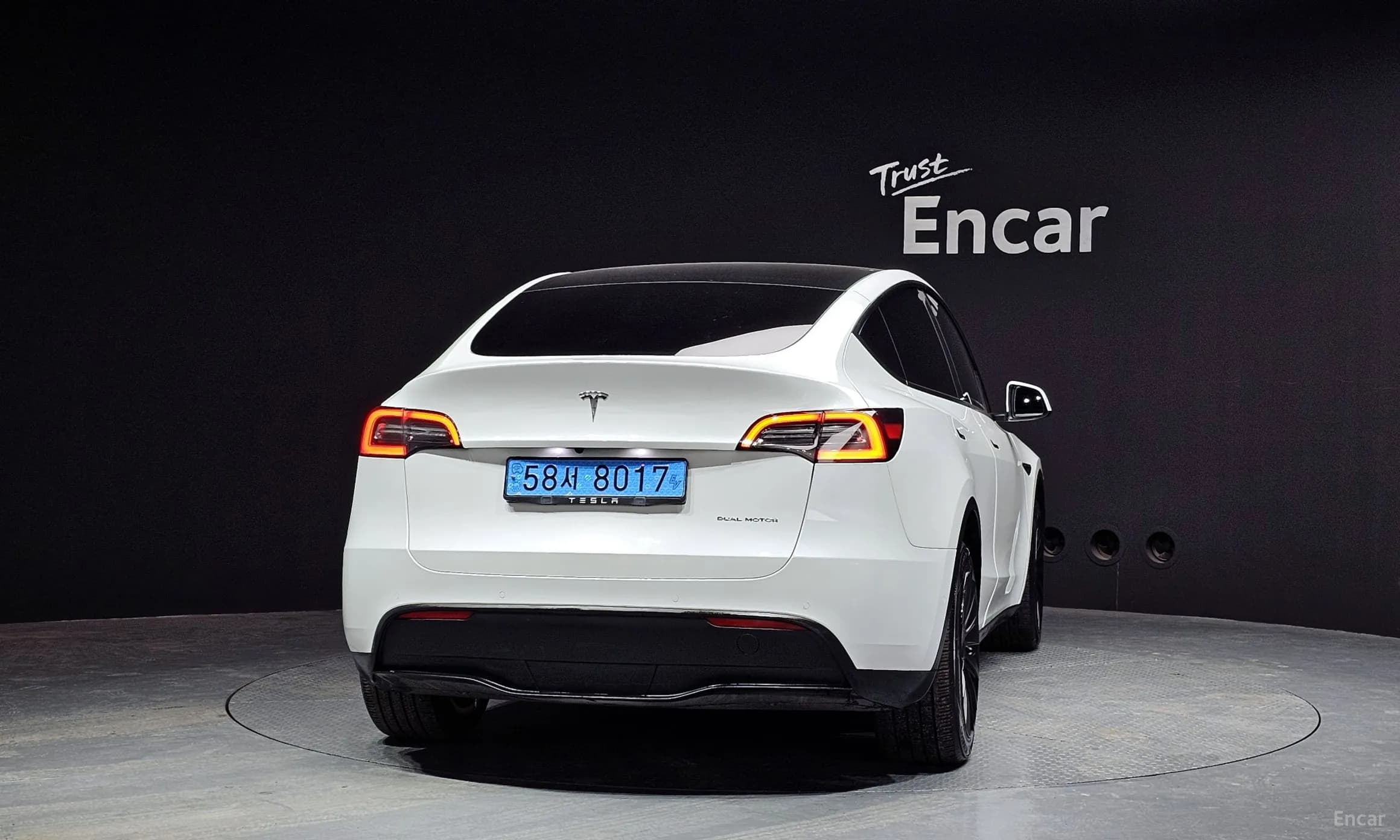 Model Y