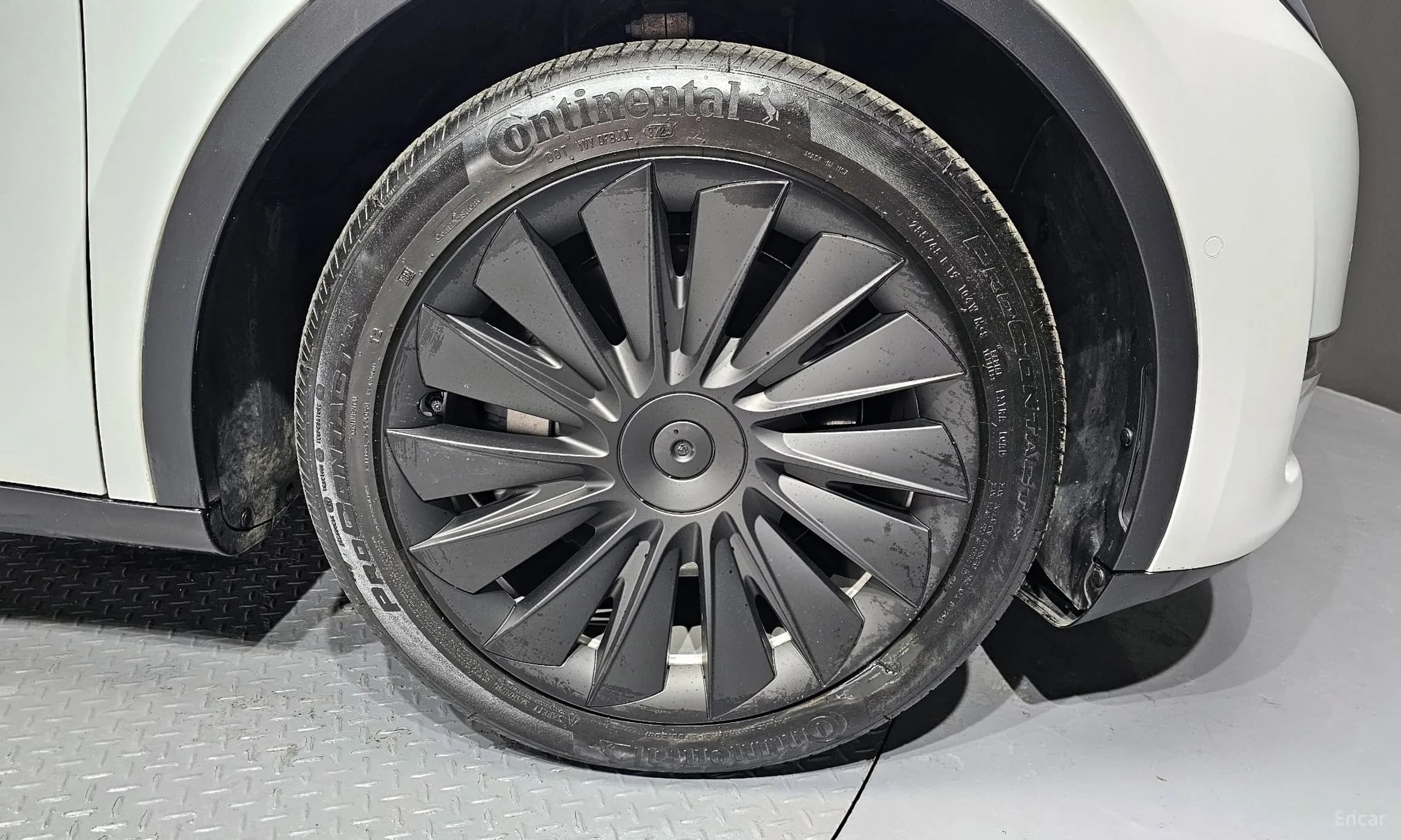 Model Y