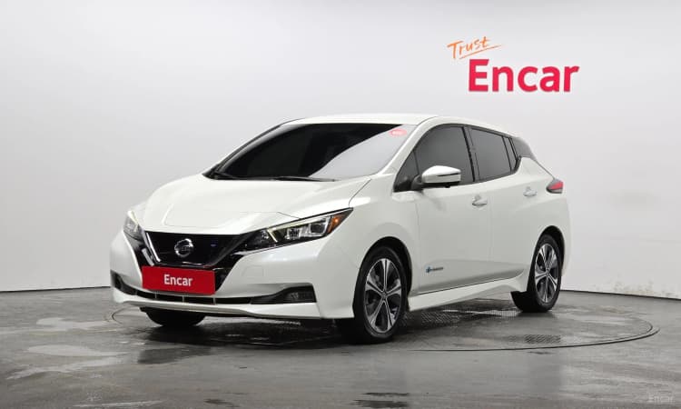 Leaf (ZE1)