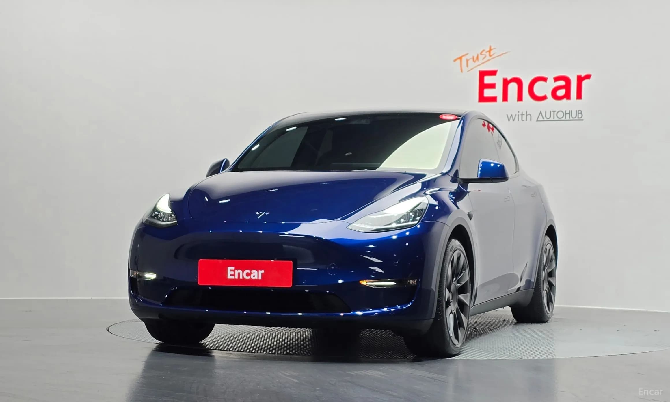 Model Y