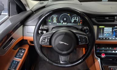 XF (x260)