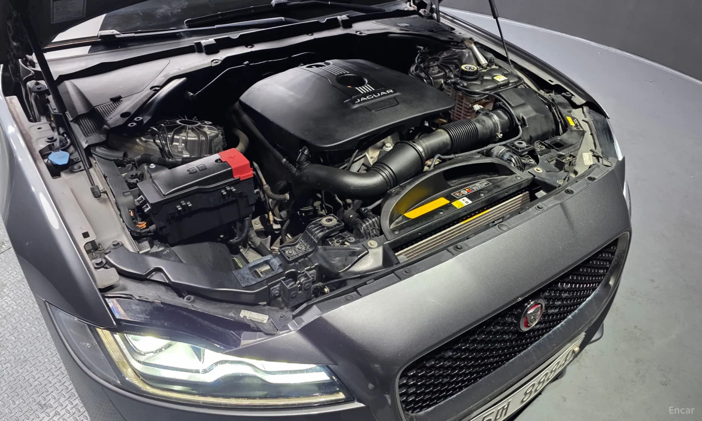 XF (x260)