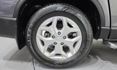 Rexton Sports