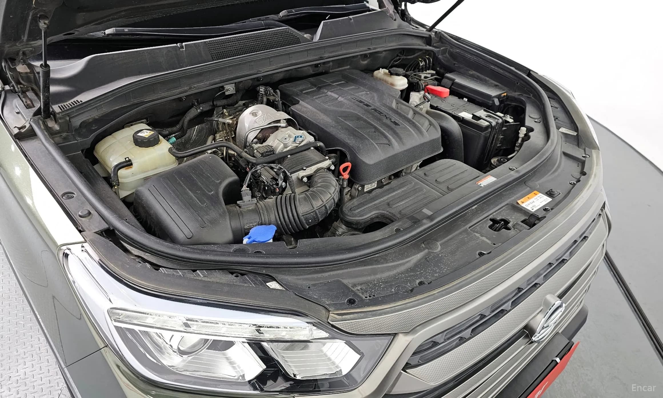 Rexton Sports