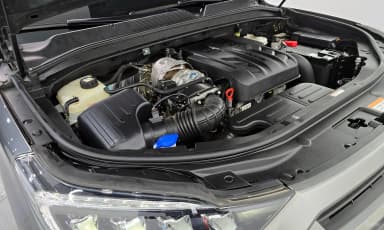 Rexton Sports