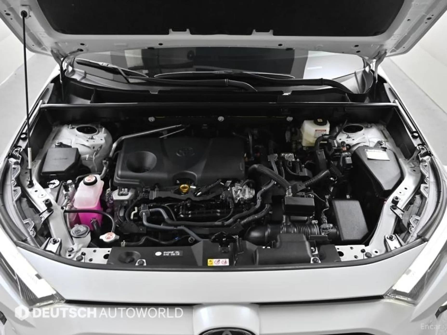 RAV4 5th Generation