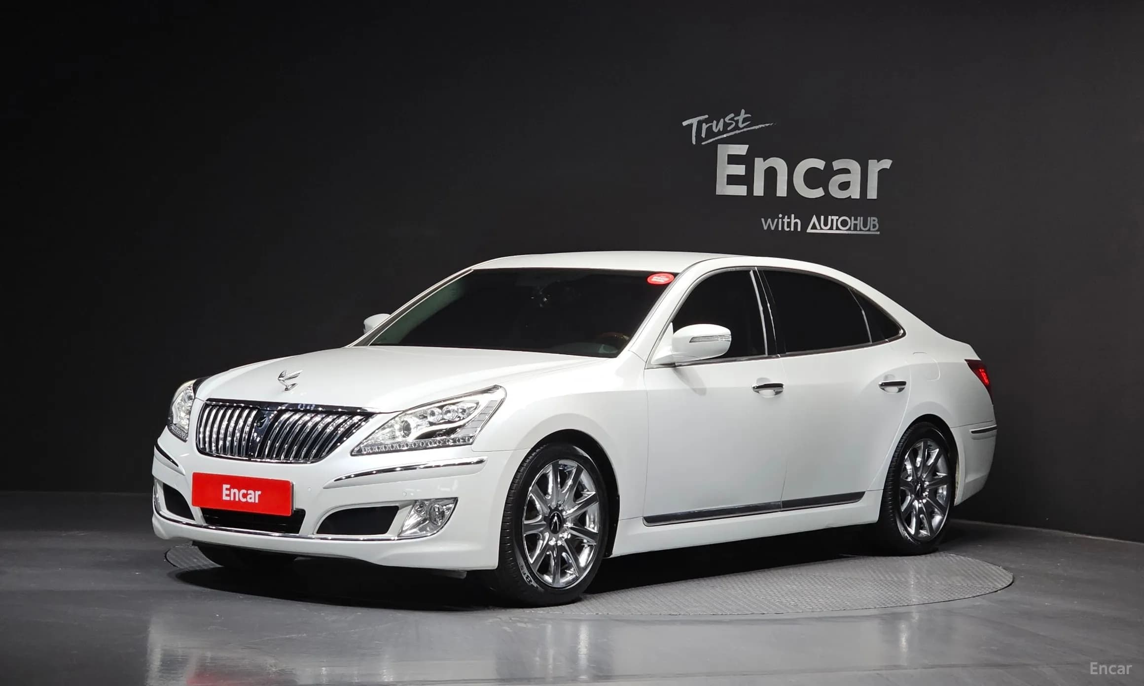 Equus (new)