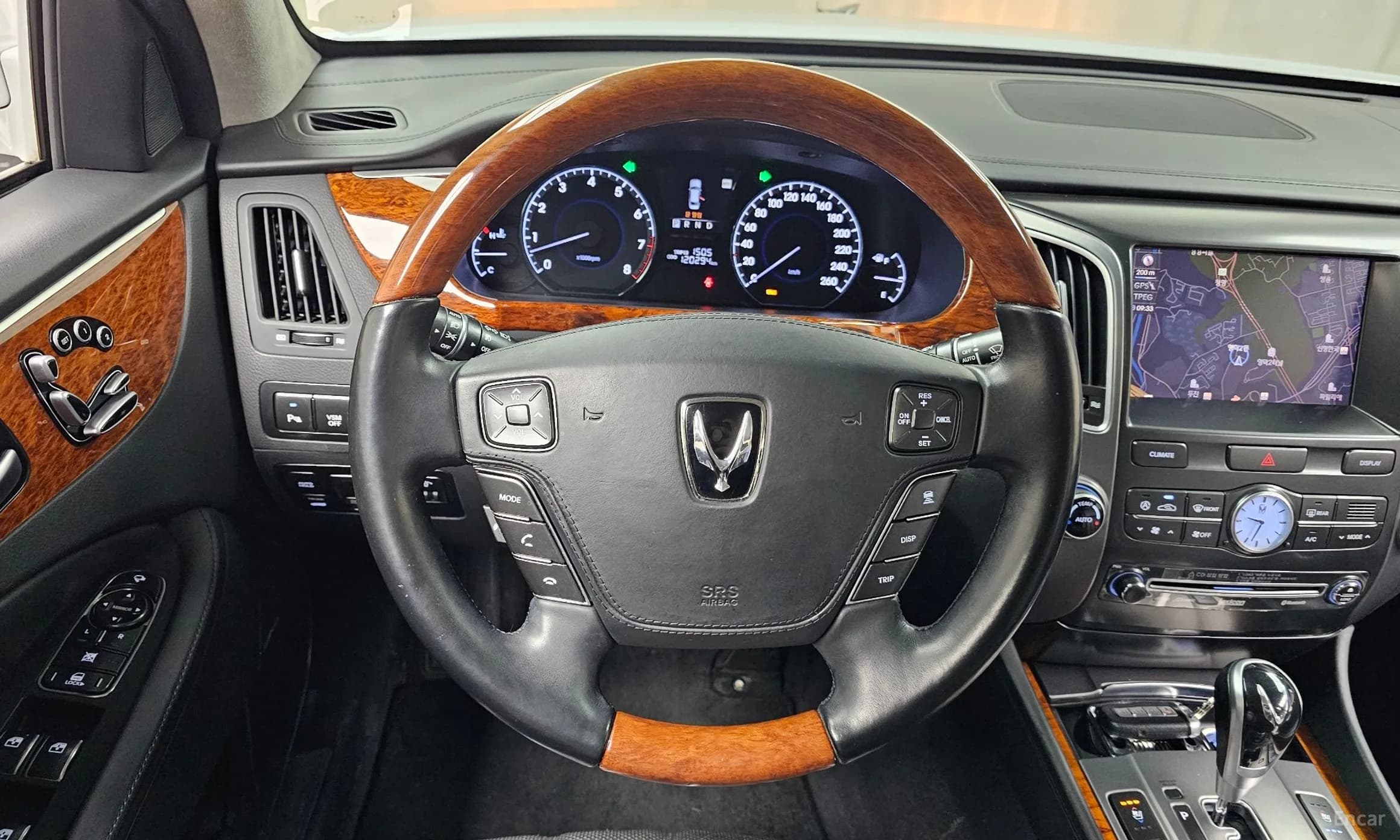 Equus (new)