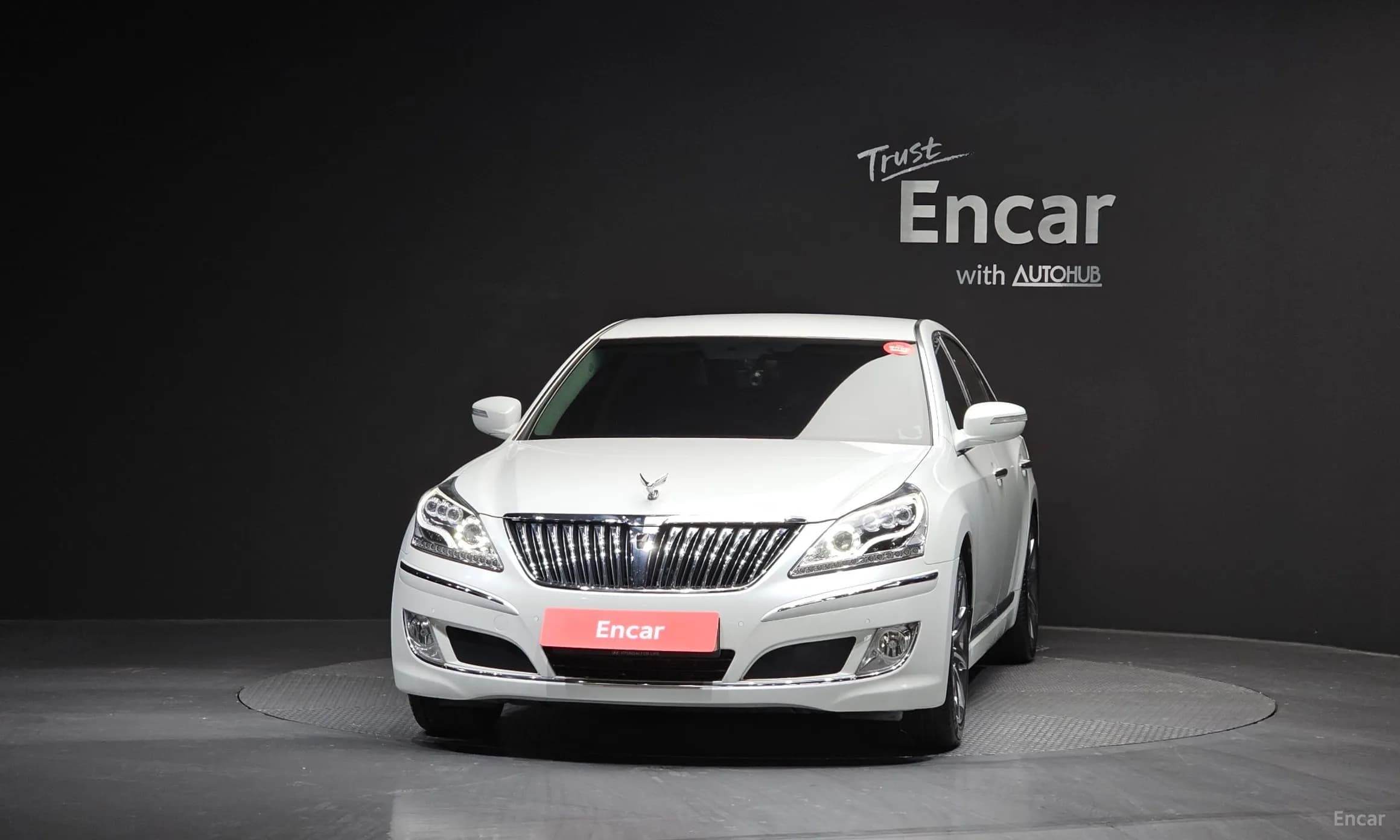 Equus (new)
