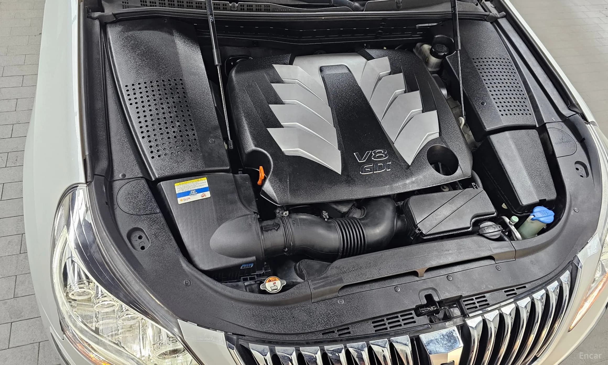 Equus (new)