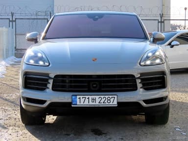Cayenne (PO536)
