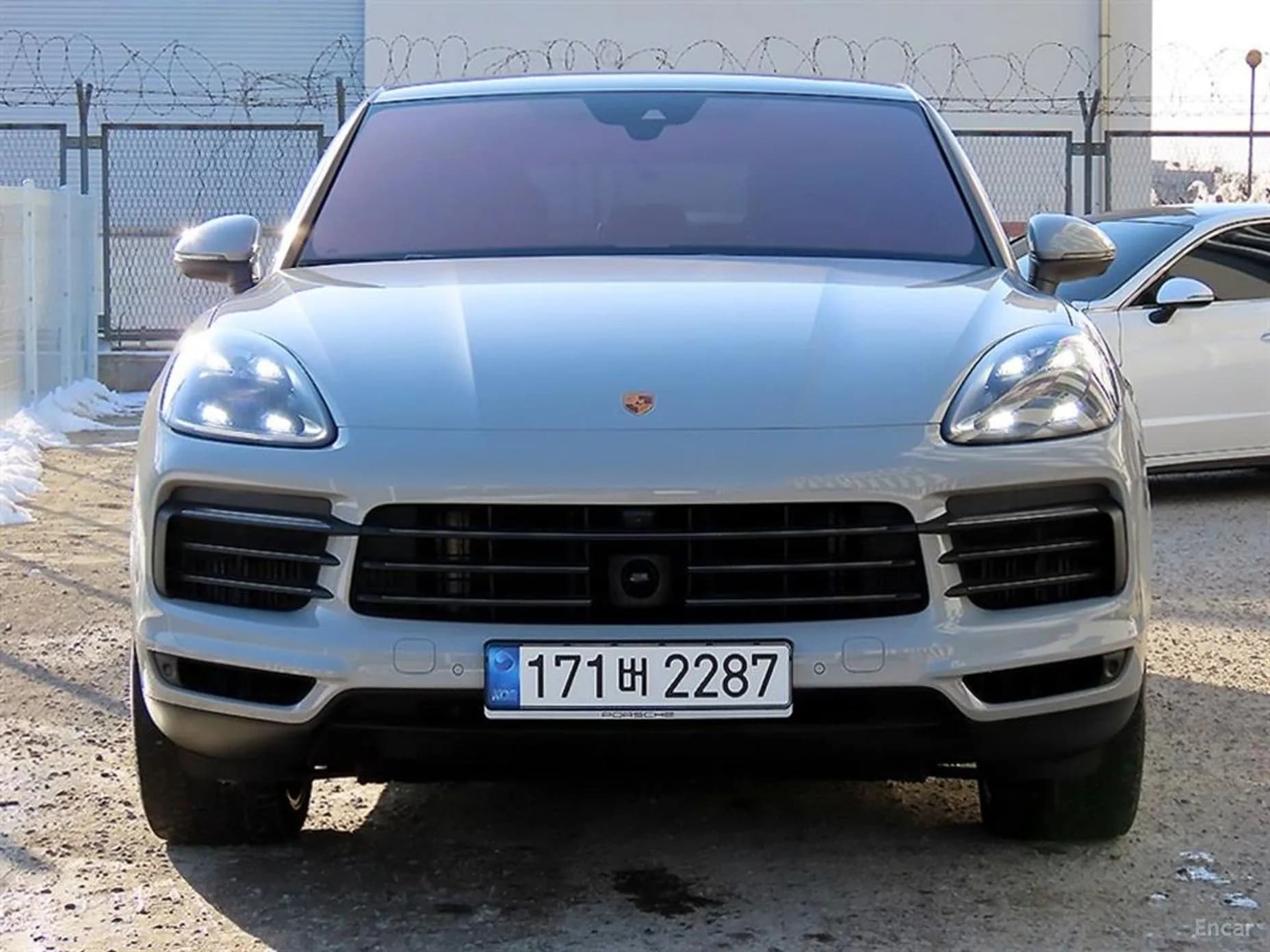 Cayenne (PO536)