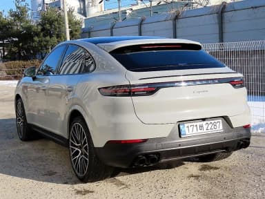 Cayenne (PO536)