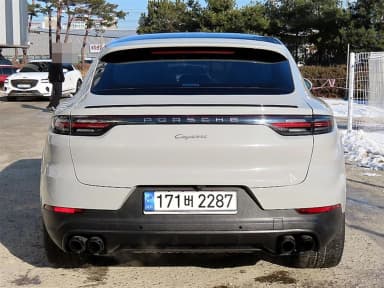 Cayenne (PO536)