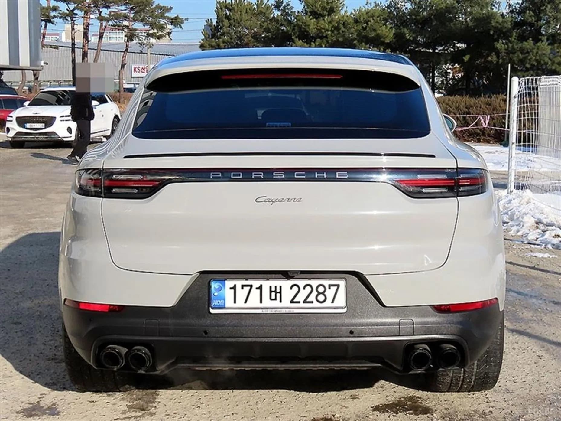 Cayenne (PO536)