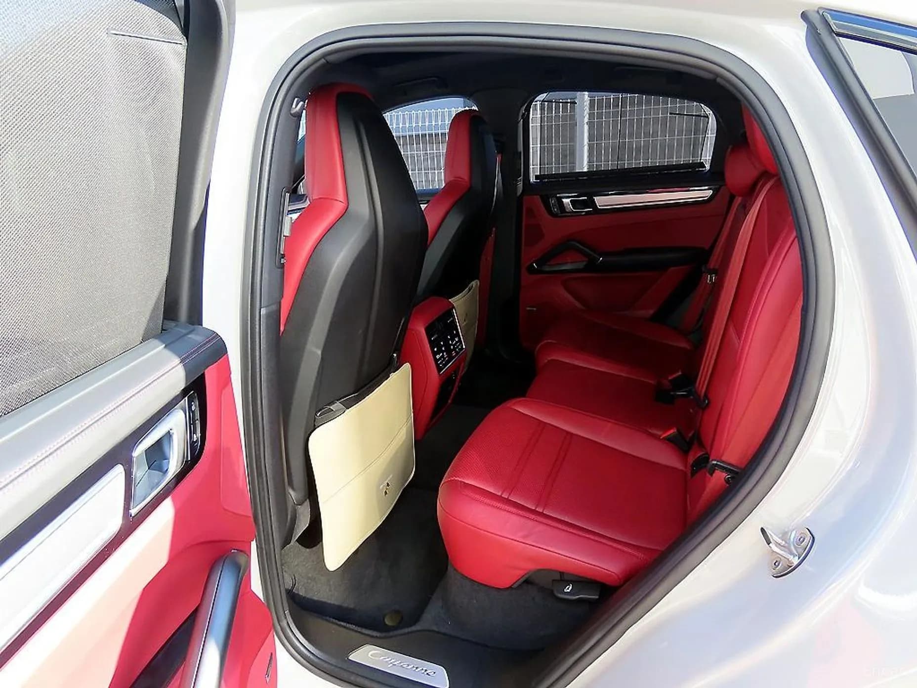 Cayenne (PO536)