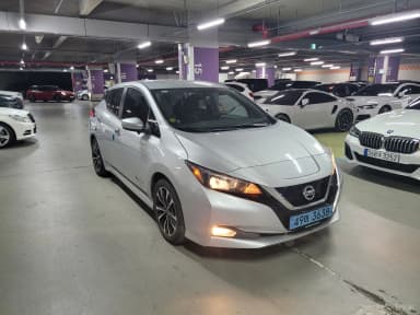 Leaf (ZE1)
