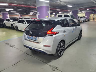 Leaf (ZE1)
