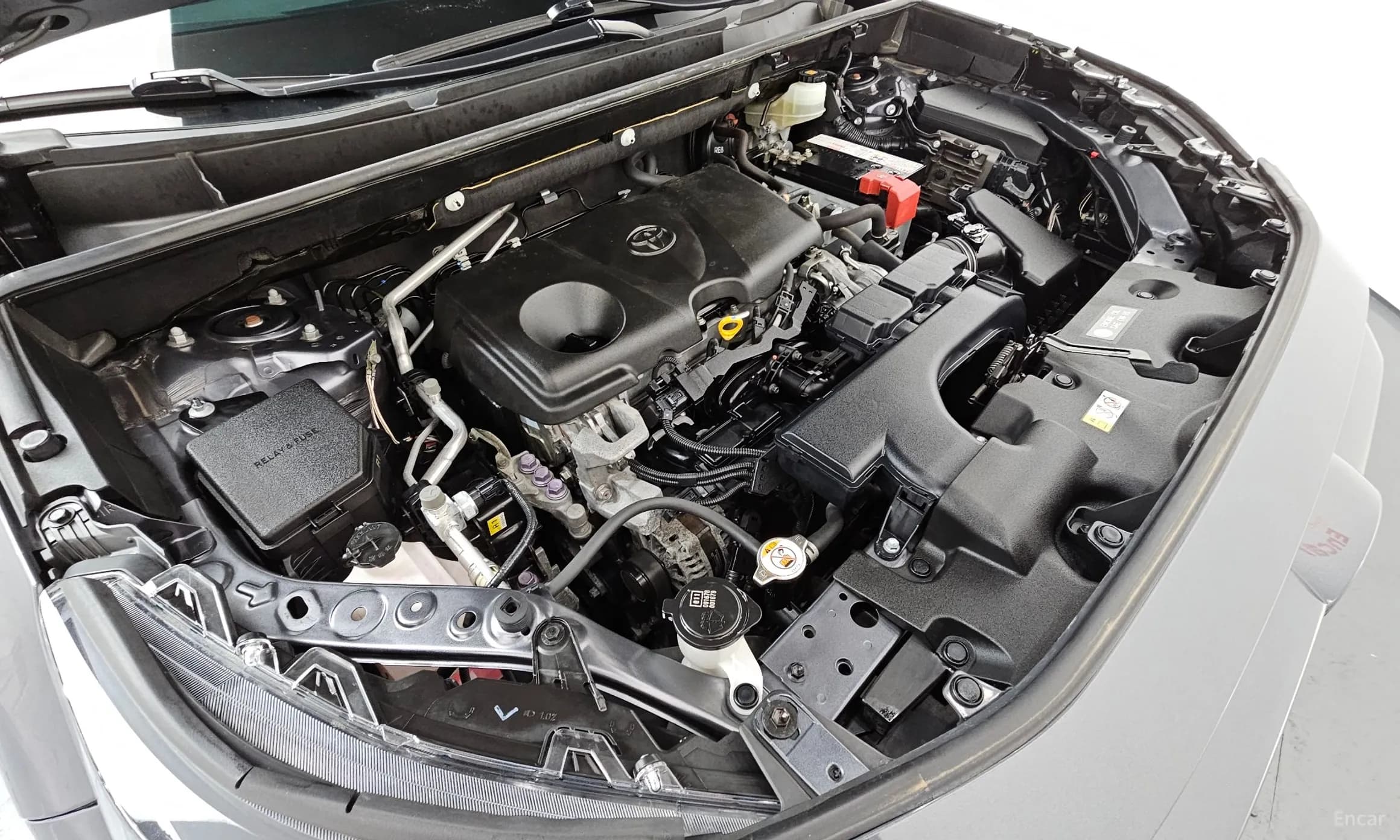 RAV4 5th Generation