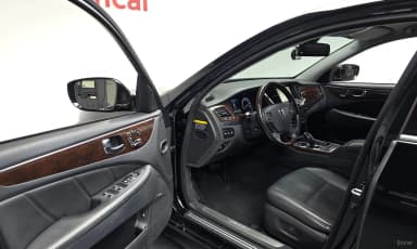 Equus (new)