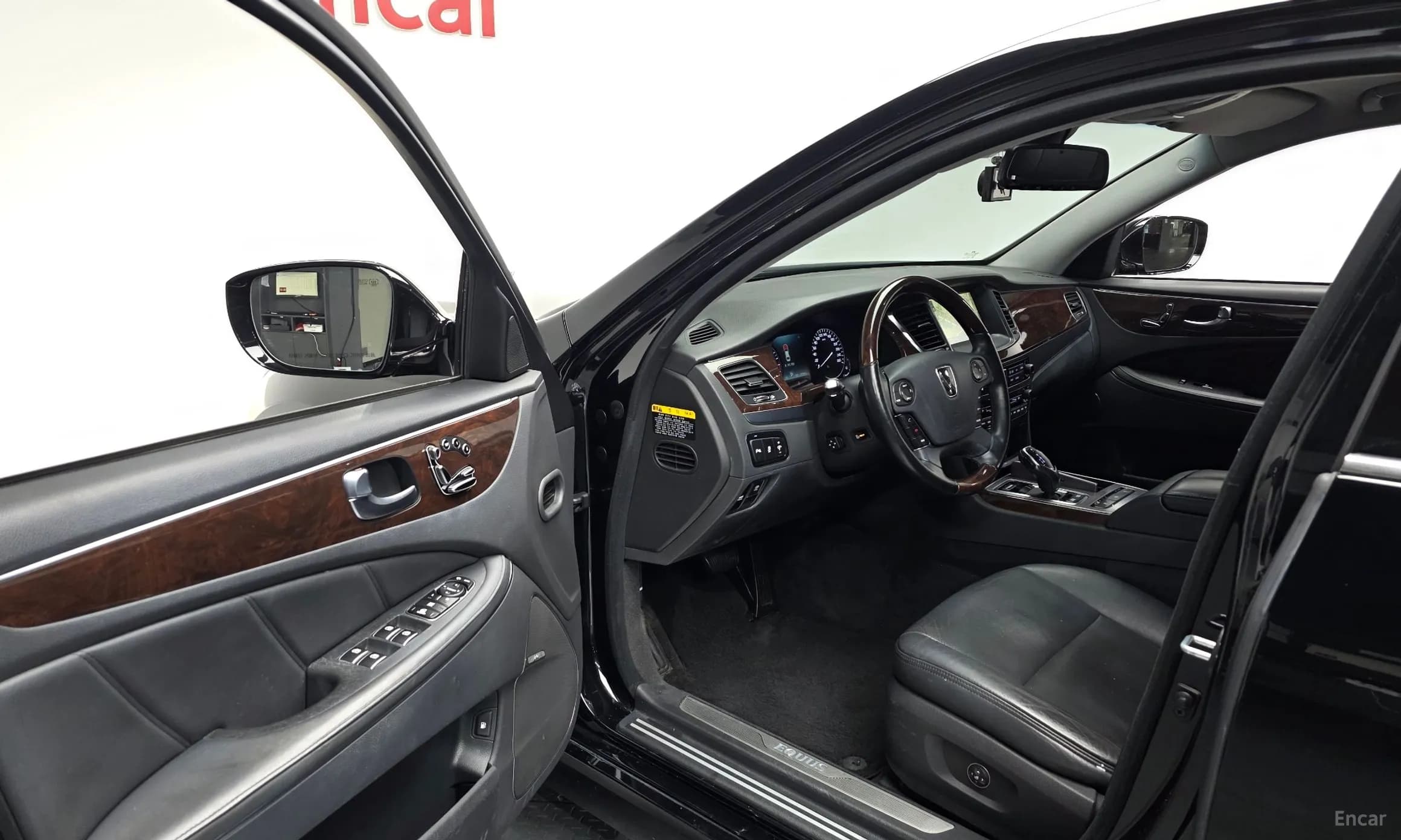 Equus (new)