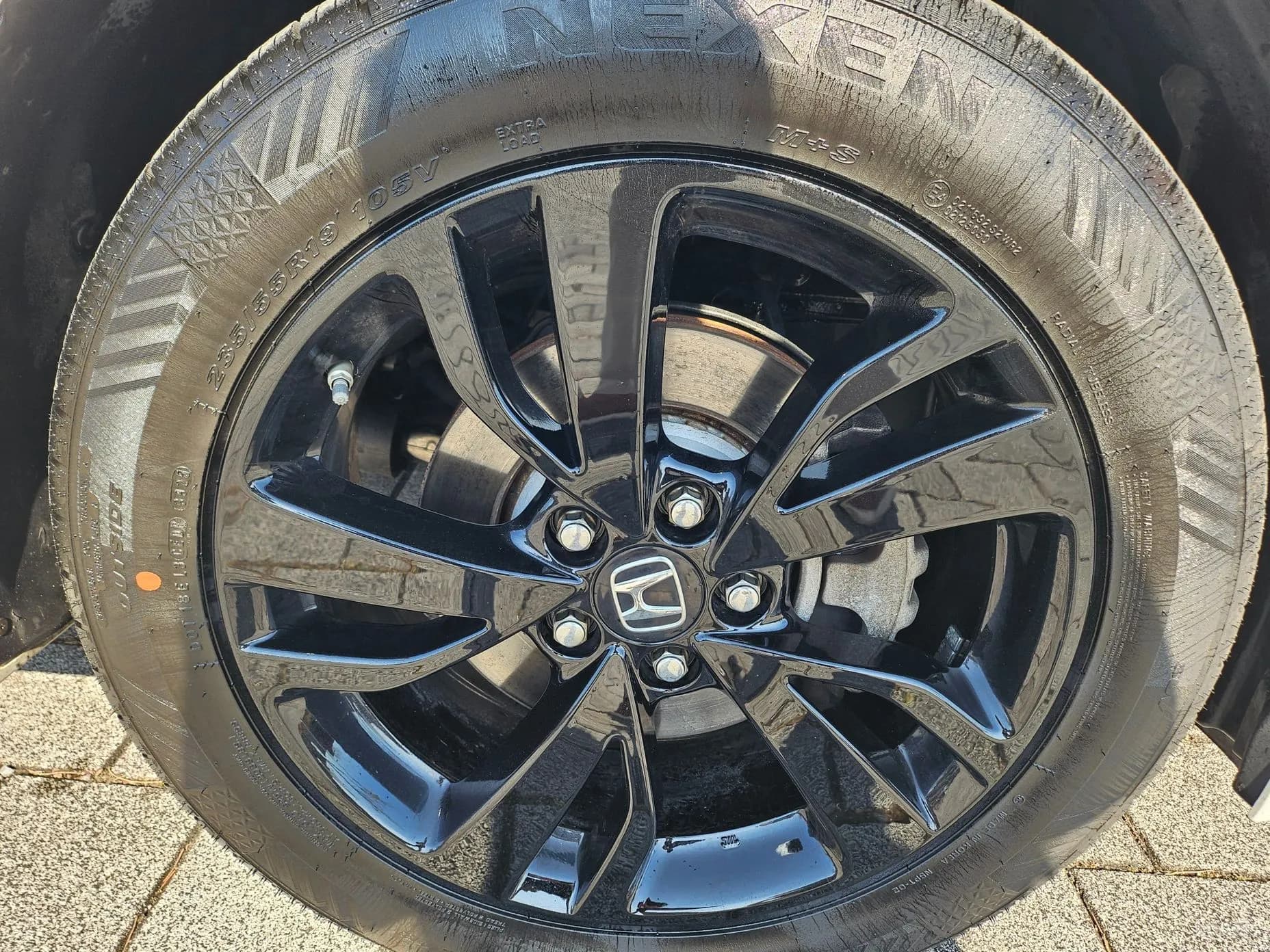 Odyssey
