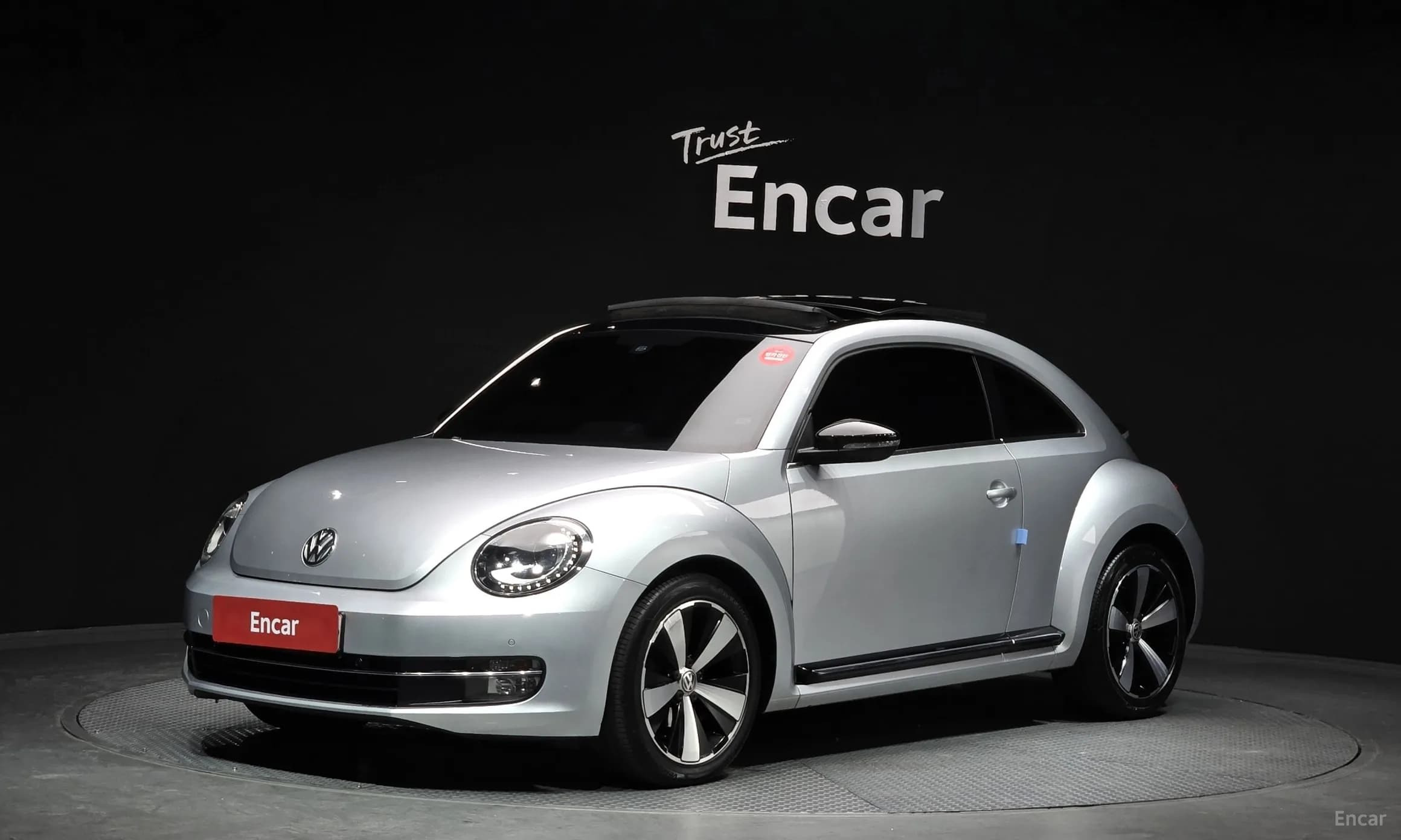 The Beetle