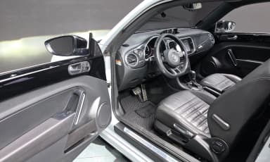 The Beetle