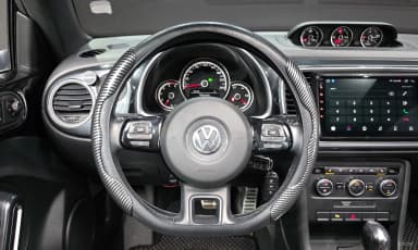 The Beetle