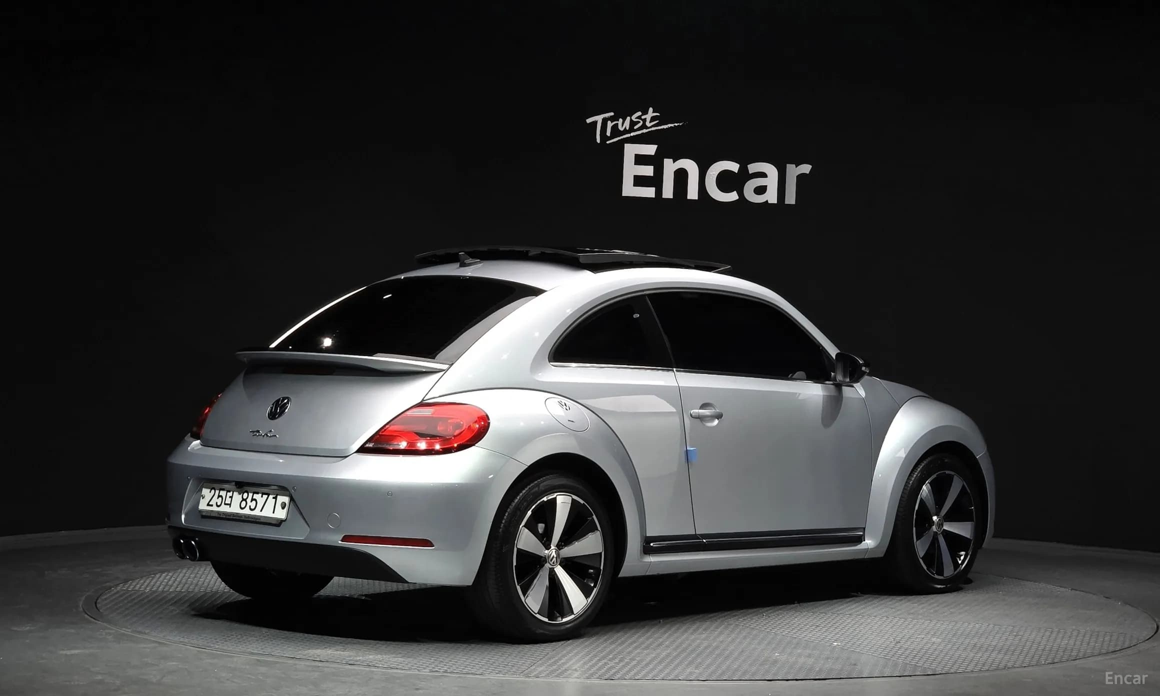 The Beetle