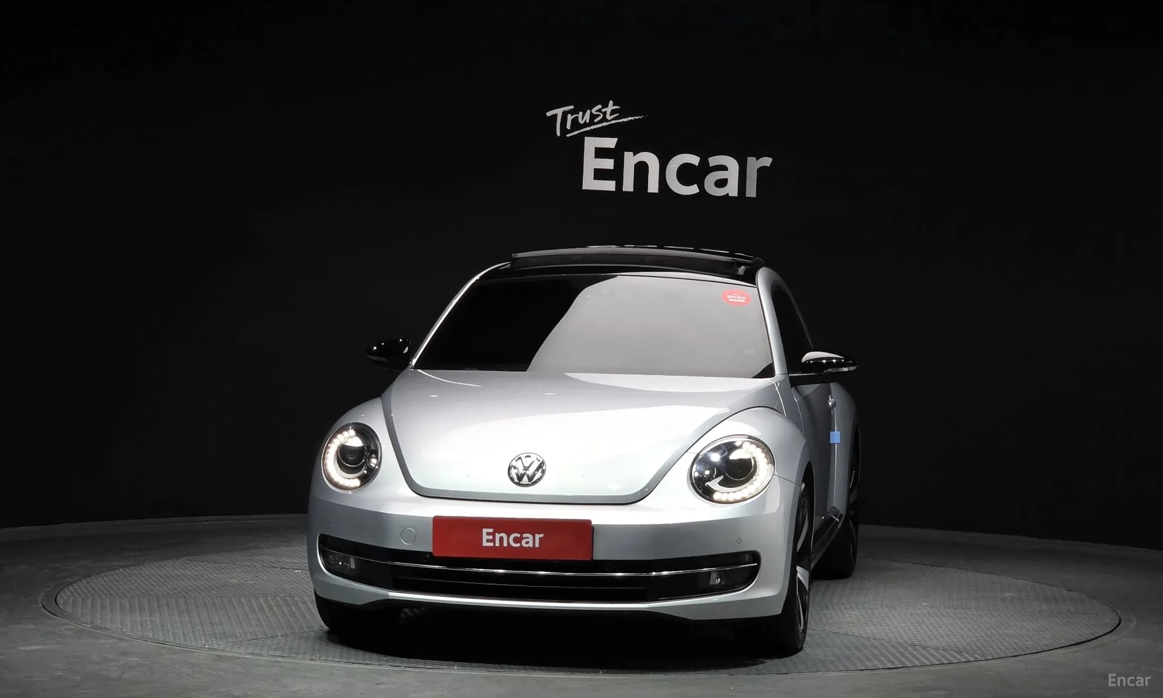The Beetle