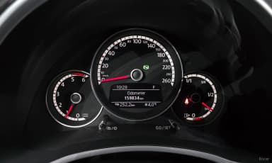 The Beetle