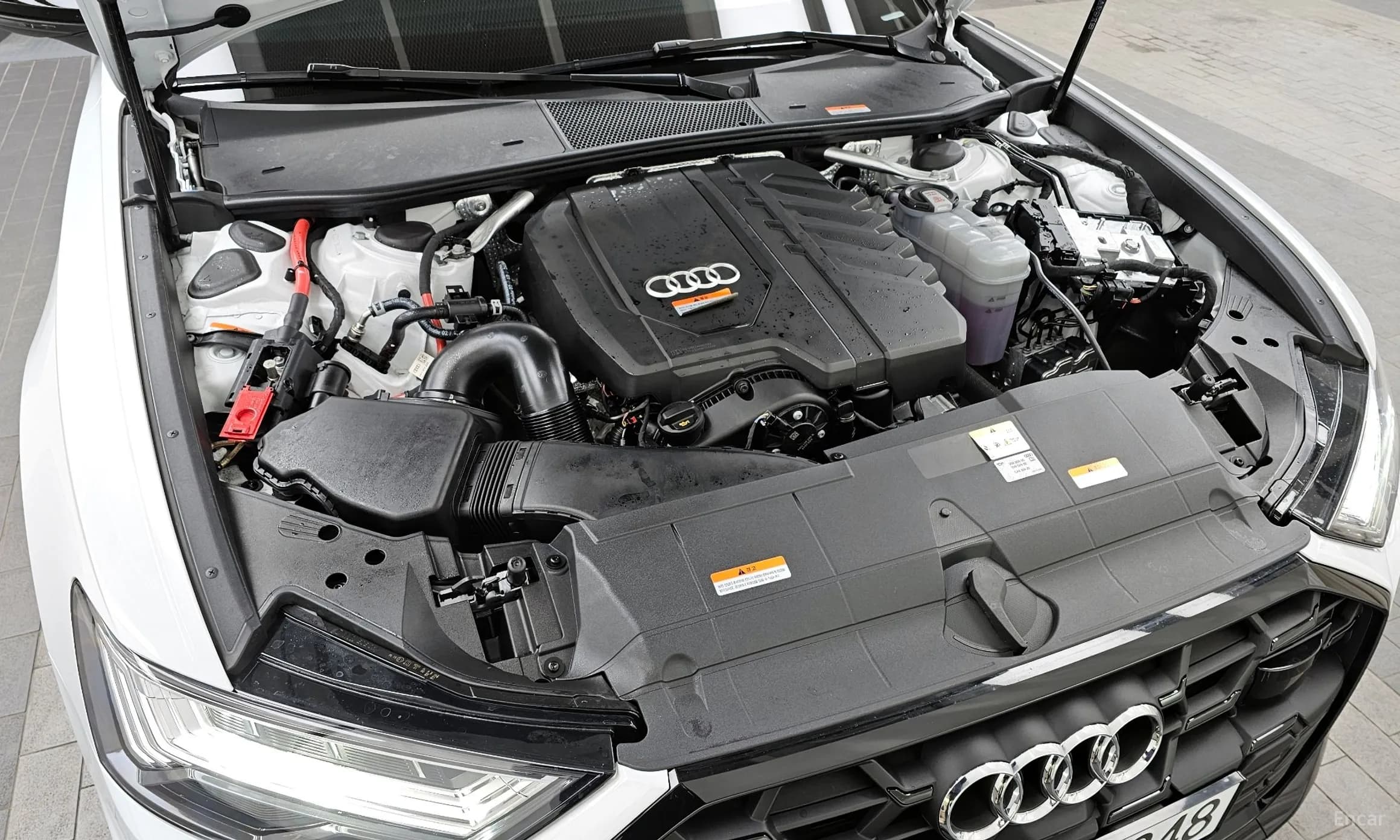 A6 (C8)