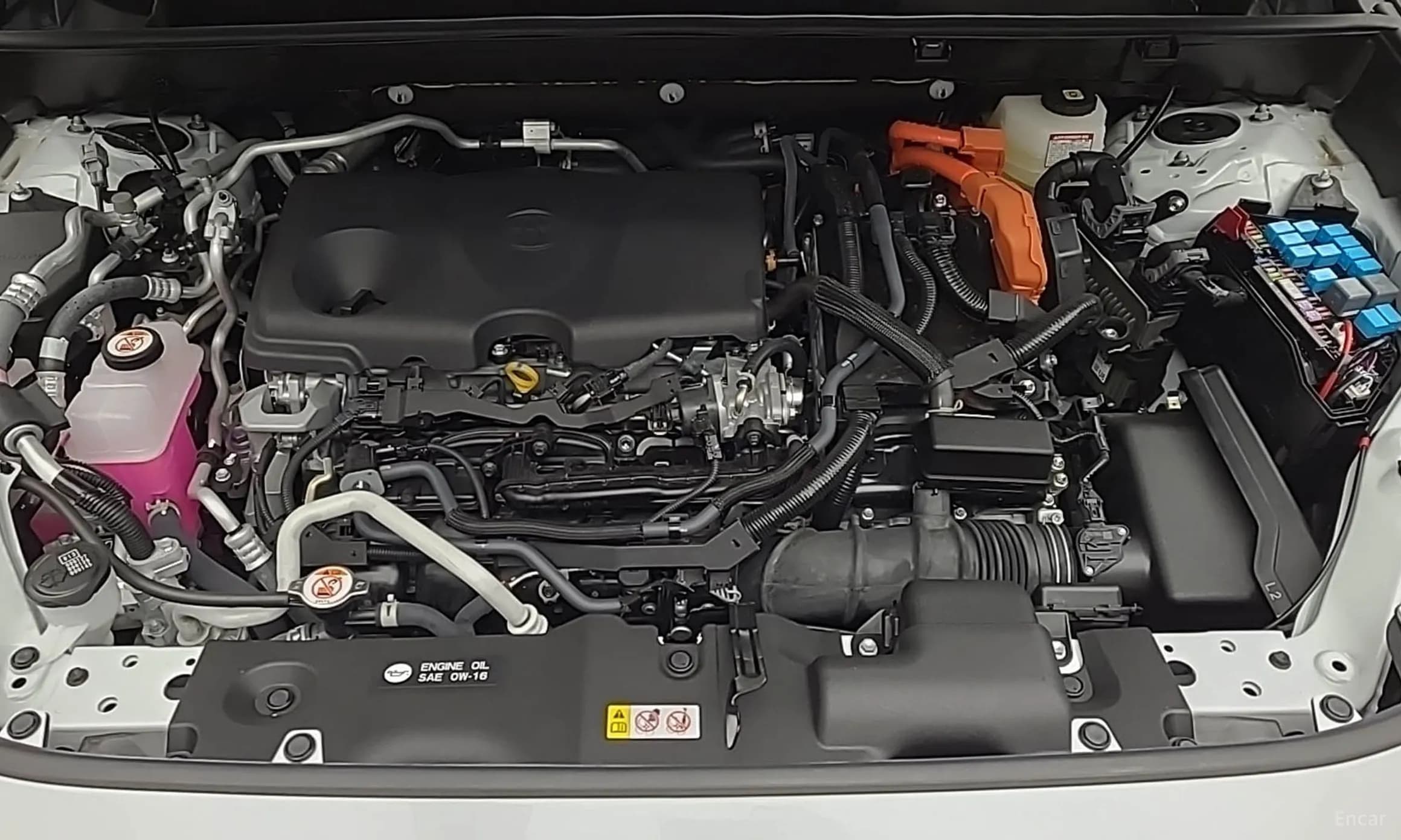 RAV4 5th Generation