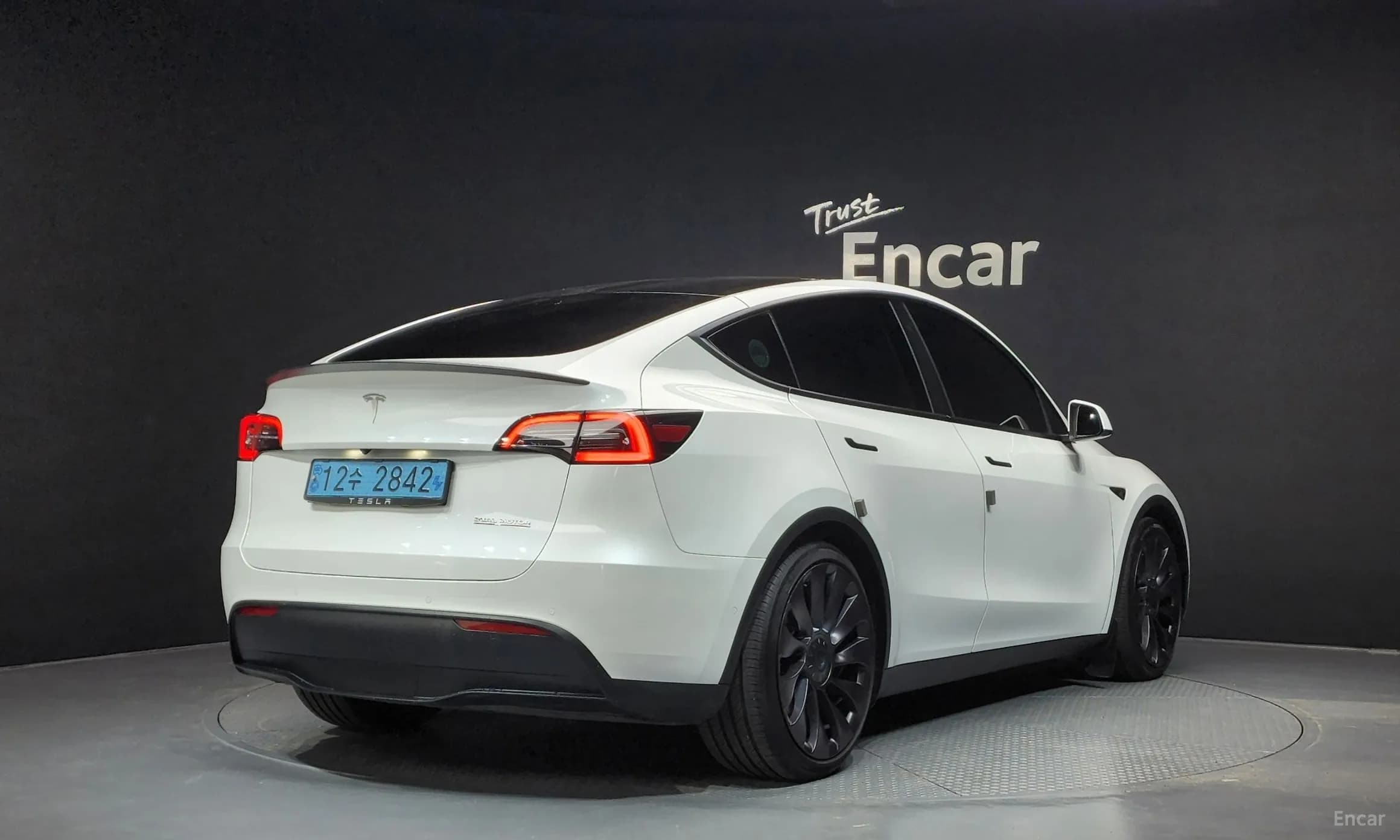 Model Y