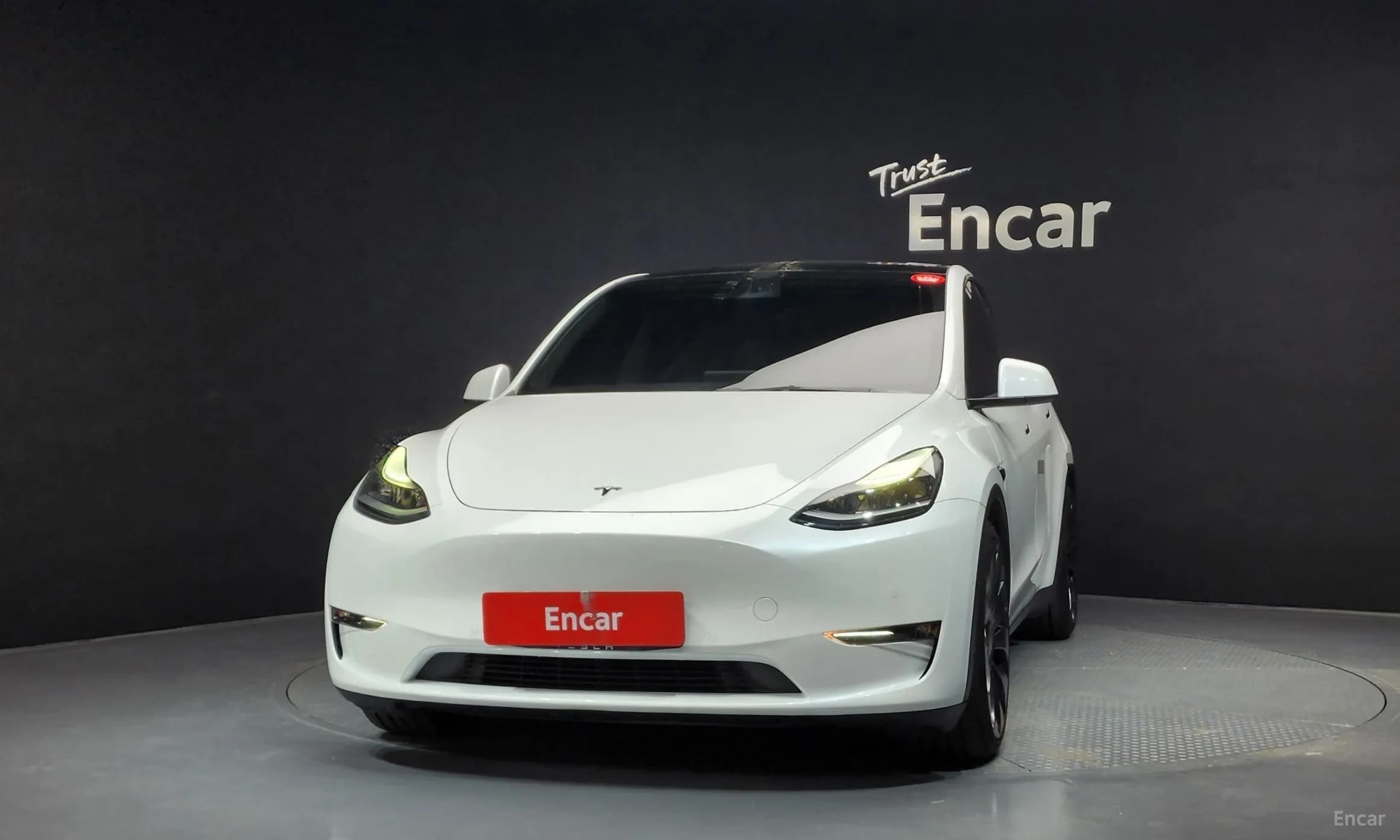 Model Y