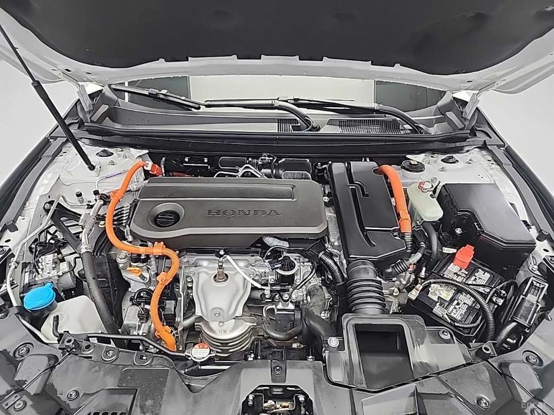 Accord 11th Generation