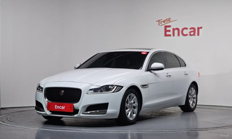 XF (x260)