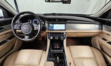 XF (x260)