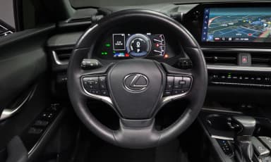 UX250h